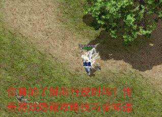 你真的了解商行规则吗?传奇游戏隐藏攻略技巧全知道 你真的了解商行规则吗?传奇游戏隐藏攻略技巧全知道