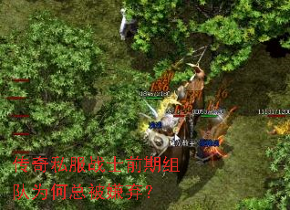 传奇私服战士前期组队为何总被嫌弃? 传奇私服战士前期组队为何总被嫌弃?
