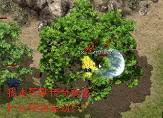 �ұ���Ĭ�����ջ�ʲô������㣿