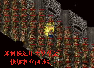 如何快速用大妖精金币修炼刺客彻地钉? 如何快速用大妖精金币修炼刺客彻地钉?