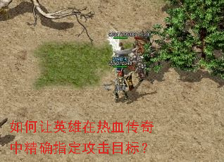 如何让英雄在热血传奇中精确指定攻击目标? 如何让英雄在热血传奇中精确指定攻击目标?