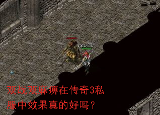 双战双麻痹在传奇3私服中效果真的好吗? 双战双麻痹在传奇3私服中效果真的好吗?