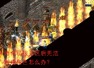 ����˽���������޷�������ɫ��ô�죿