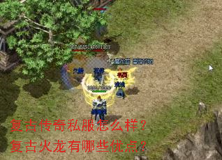 ���Ŵ���˽����ô�������Ż�������Щ�ŵ㣿