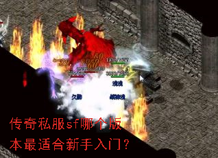 传奇私服sf哪个版本最适合新手入门? 传奇私服sf哪个版本最适合新手入门?
