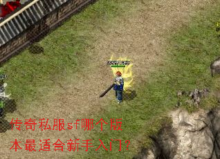 传奇私服sf哪个版本最适合新手入门? 传奇私服sf哪个版本最适合新手入门?