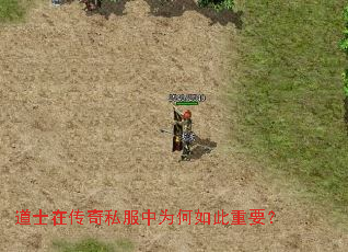 道士在传奇私服中为何如此重要? 道士在传奇私服中为何如此重要?