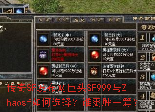 ����SF��������ͷSF999��Zhaosf���ѡ��˭��ʤһ�