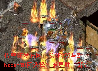 ����SF��������ͷSF999��Zhaosf���ѡ��˭��ʤһ�