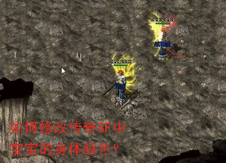 如何修改传奇SF中宝宝的身体颜色? 如何修改传奇SF中宝宝的身体颜色?