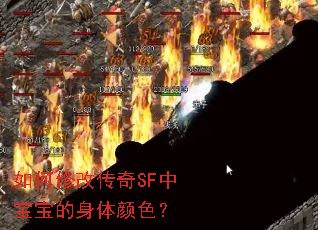 如何修改传奇SF中宝宝的身体颜色? 如何修改传奇SF中宝宝的身体颜色?