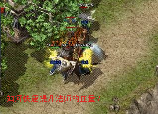 如何快速提升法师的血量? 如何快速提升法师的血量?
