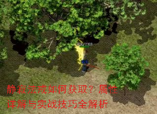 静寂法戒如何获取?属性详解与实战技巧全解析 静寂法戒如何获取?属性详解与实战技巧全解析