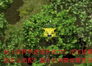 战士如何快速提升战力?法师技能连招怎么搭配?道士召唤兽如何进阶? 战士如何快速提升战力?法师技能连招怎么搭配?道士召唤兽如何进阶?
