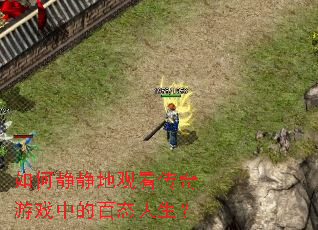 如何静静地观看传奇游戏中的百态人生? 如何静静地观看传奇游戏中的百态人生?