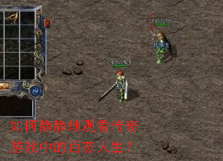 如何静静地观看传奇游戏中的百态人生? 如何静静地观看传奇游戏中的百态人生?