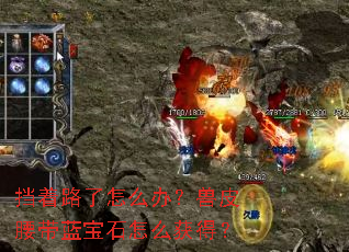 挡着路了怎么办?兽皮腰带蓝宝石怎么获得? 挡着路了怎么办?兽皮腰带蓝宝石怎么获得?