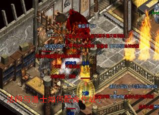 法师与道士如何配合作战? 法师与道士如何配合作战?