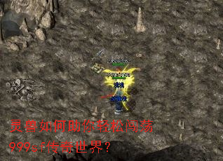 灵兽如何助你轻松闯荡999sf传奇世界? 灵兽如何助你轻松闯荡999sf传奇世界?