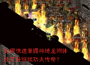 ��ο���������������弼�ղ����������棿