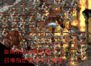 如何用HeroM2引擎召唤指定怪物作为宝宝? 如何用HeroM2引擎召唤指定怪物作为宝宝?