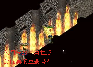 传奇私服中属性点分配真的重要吗? 传奇私服中属性点分配真的重要吗?