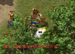 复古传奇私服绿色版本攻略大全? 复古传奇私服绿色版本攻略大全?
