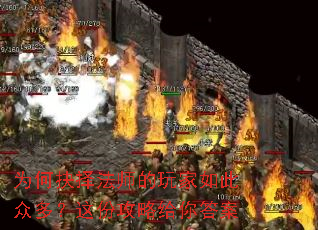 为何抉择法师的玩家如此众多?这份攻略给你答案 为何抉择法师的玩家如此众多?这份攻略给你答案