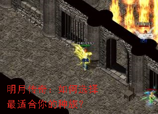 明月传奇:如何选择最适合你的种族? 明月传奇:如何选择最适合你的种族?