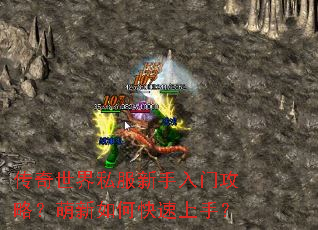 传奇世界私服新手入门攻略?萌新如何快速上手? 传奇世界私服新手入门攻略?萌新如何快速上手?