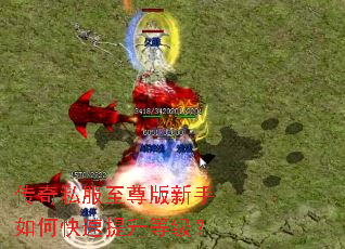 传奇私服至尊版新手如何快速提升等级? 传奇私服至尊版新手如何快速提升等级?