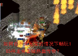 如何在不充元宝的情况下畅玩1.85神龙合击版热血传奇? 如何在不充元宝的情况下畅玩1.85神龙合击版热血传奇?
