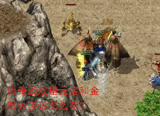 传奇游戏里元宝和金币太多该怎么花? 传奇游戏里元宝和金币太多该怎么花?