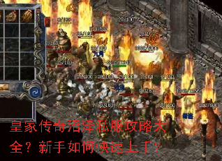 皇家传奇沼泽私服攻略大全?新手如何快速上手? 皇家传奇沼泽私服攻略大全?新手如何快速上手?