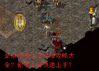 皇家传奇沼泽私服攻略大全?新手如何快速上手? 皇家传奇沼泽私服攻略大全?新手如何快速上手?