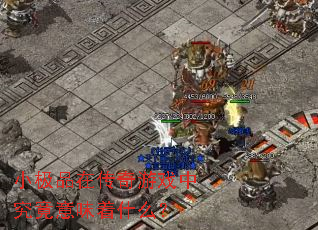 小极品在传奇游戏中究竟意味着什么? 小极品在传奇游戏中究竟意味着什么?
