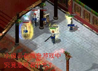 小极品在传奇游戏中究竟意味着什么? 小极品在传奇游戏中究竟意味着什么?