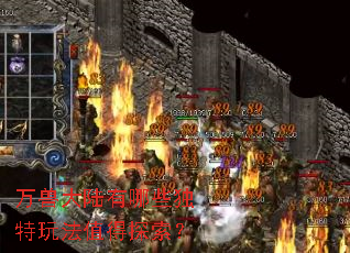 万兽大陆有哪些独特玩法值得探索? 万兽大陆有哪些独特玩法值得探索?