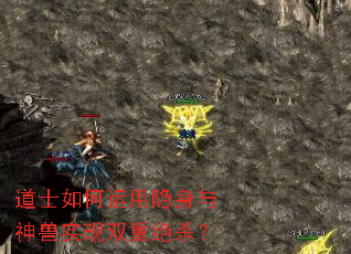 道士如何运用隐身与神兽实现双重绝杀? 道士如何运用隐身与神兽实现双重绝杀?