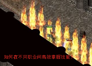 如何在不同职业间高效掌握技能? 如何在不同职业间高效掌握技能?