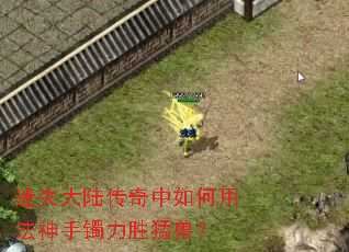 迷失大陆传奇中如何用法神手镯力胜猛兽? 迷失大陆传奇中如何用法神手镯力胜猛兽?