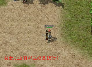 羽士职业有哪些必备技巧? 羽士职业有哪些必备技巧?