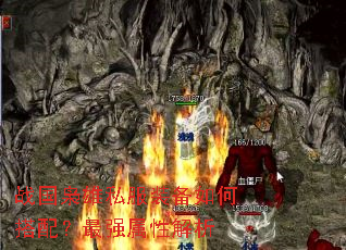 战国枭雄私服装备如何搭配?最强属性解析 战国枭雄私服装备如何搭配?最强属性解析