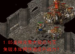 1.85龙神元素大极品与玉兔版本如何快速提升战力? 1.85龙神元素大极品与玉兔版本如何快速提升战力?