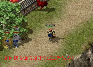 如何获得伽古拉并快速提升战力? 如何获得伽古拉并快速提升战力?
