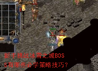 新手挑战冰雪之城BOSS有哪些必学策略技巧? 新手挑战冰雪之城BOSS有哪些必学策略技巧?