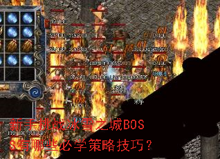 新手挑战冰雪之城BOSS有哪些必学策略技巧? 新手挑战冰雪之城BOSS有哪些必学策略技巧?