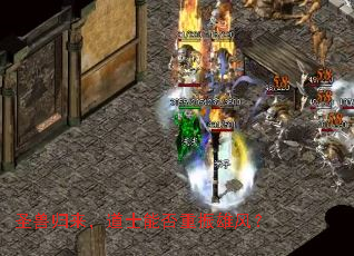 圣兽归来,道士能否重振雄风? 圣兽归来,道士能否重振雄风?