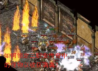 如何锁定三职业传奇中的怪物以收获满满? 如何锁定三职业传奇中的怪物以收获满满?
