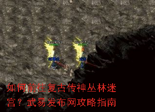 如何前往复古传神丛林迷宫?武易发布网攻略指南 如何前往复古传神丛林迷宫?武易发布网攻略指南